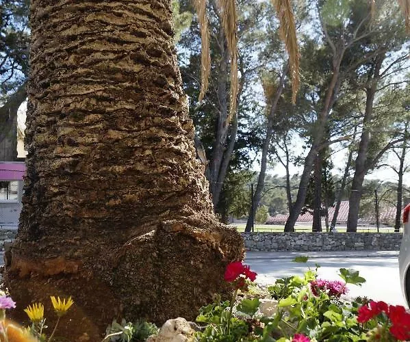 Frapedo Sport Apartamento *