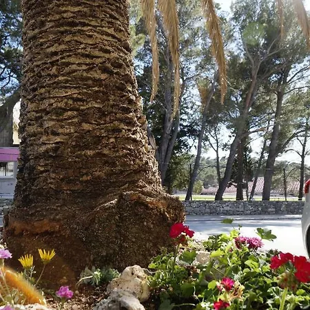 Frapedo Sport Daire *