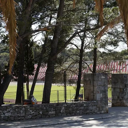 Apartament Frapedo Sport